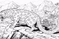 realistic jaguar coloring pages