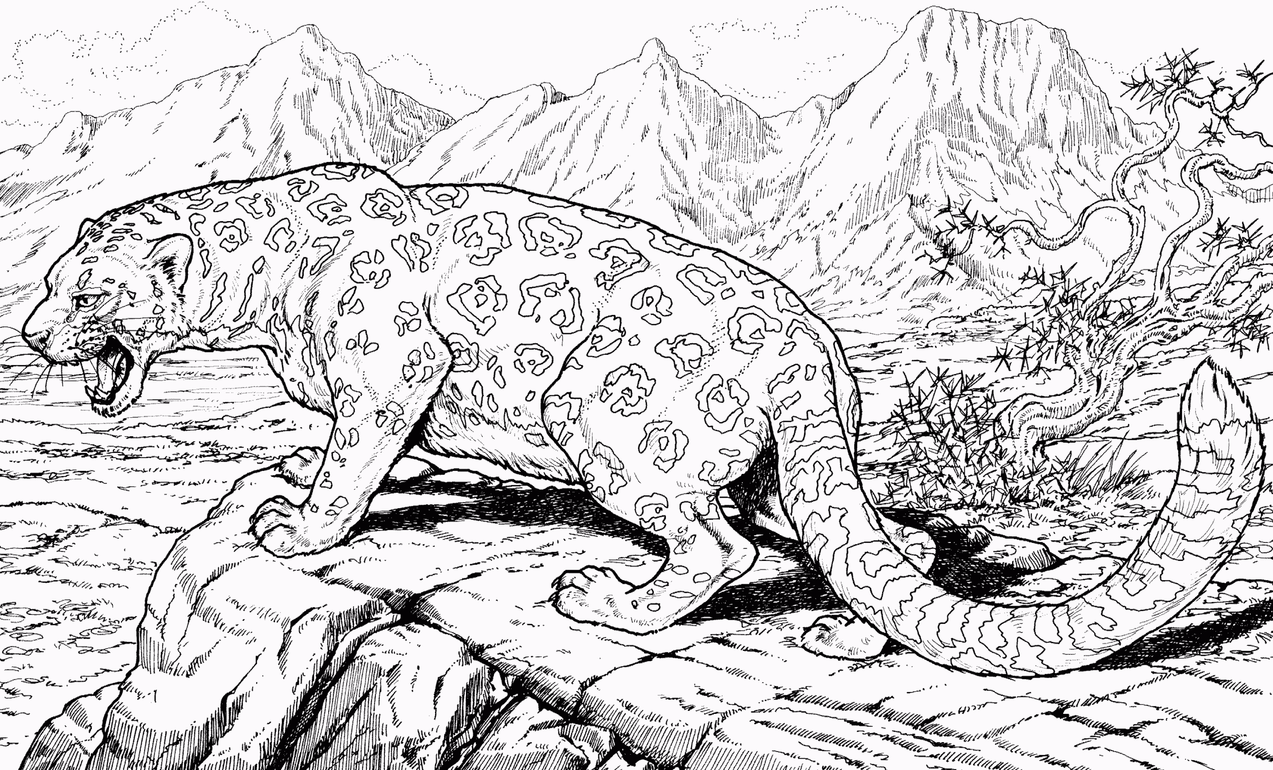 realistic jaguar coloring pages