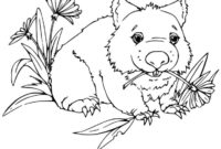 wombat coloring page