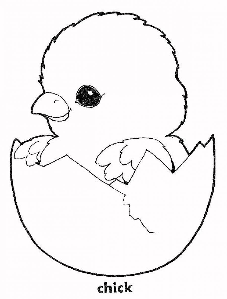 free chicken coloring pages