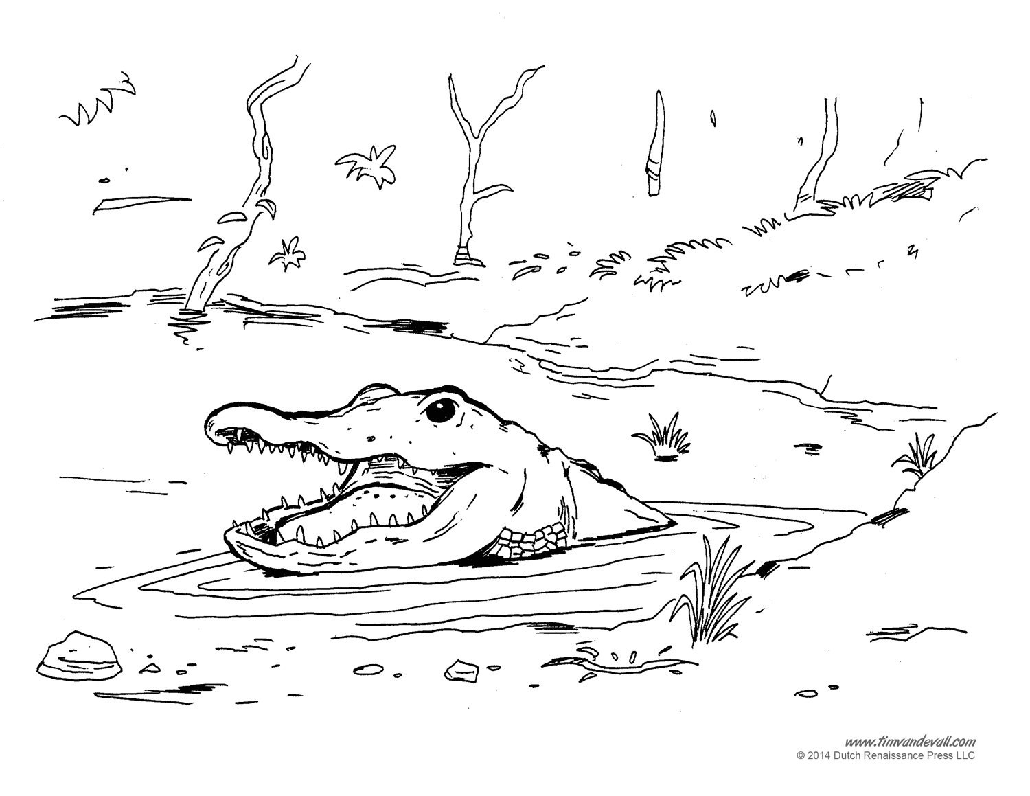 alligator coloring page