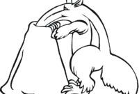 anteater coloring pages