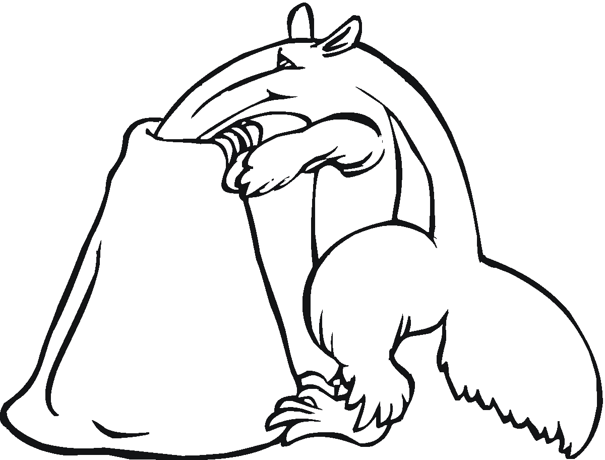 anteater coloring pages