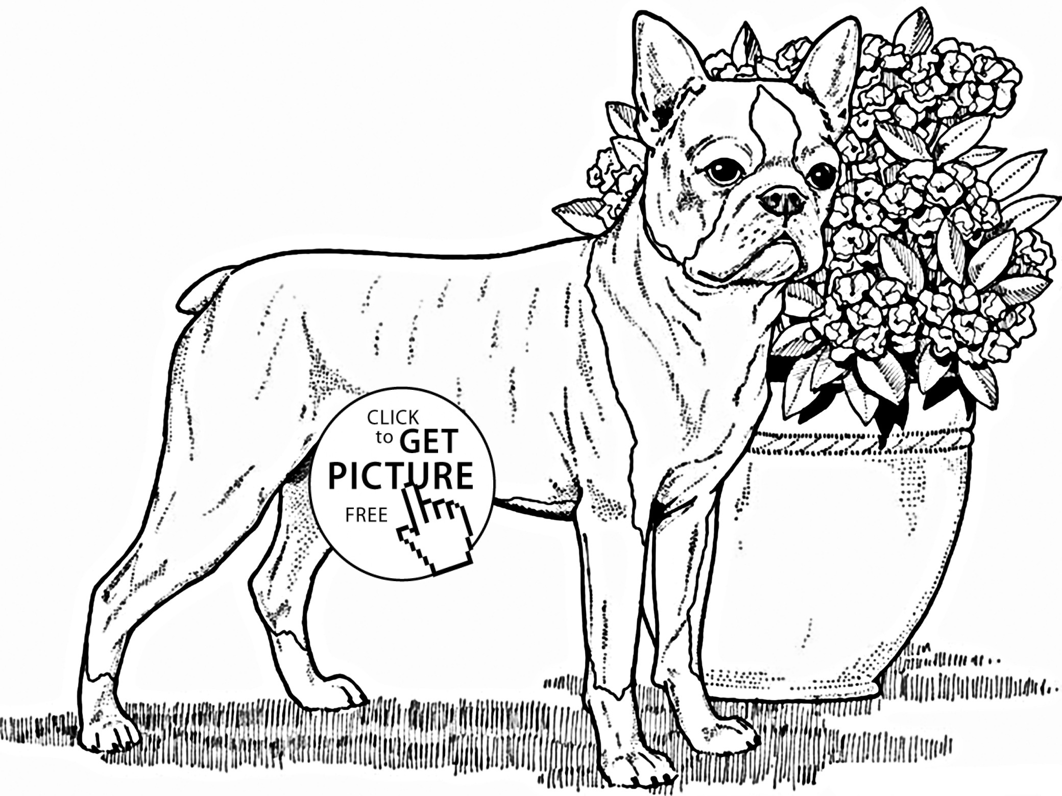 boston coloring pages