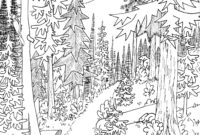 woods coloring page