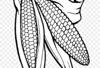 printable corn coloring page