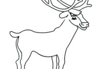 easy deer coloring pages