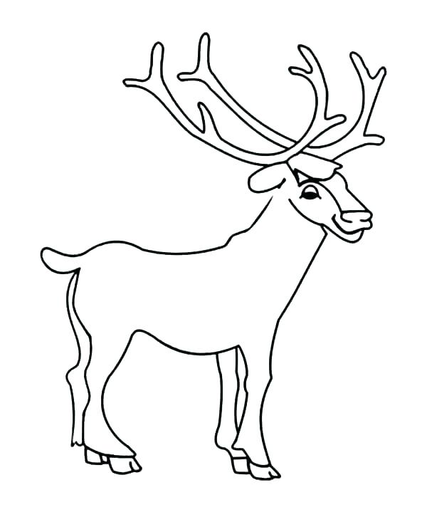 easy deer coloring pages