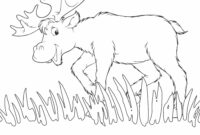 vbs coloring pages