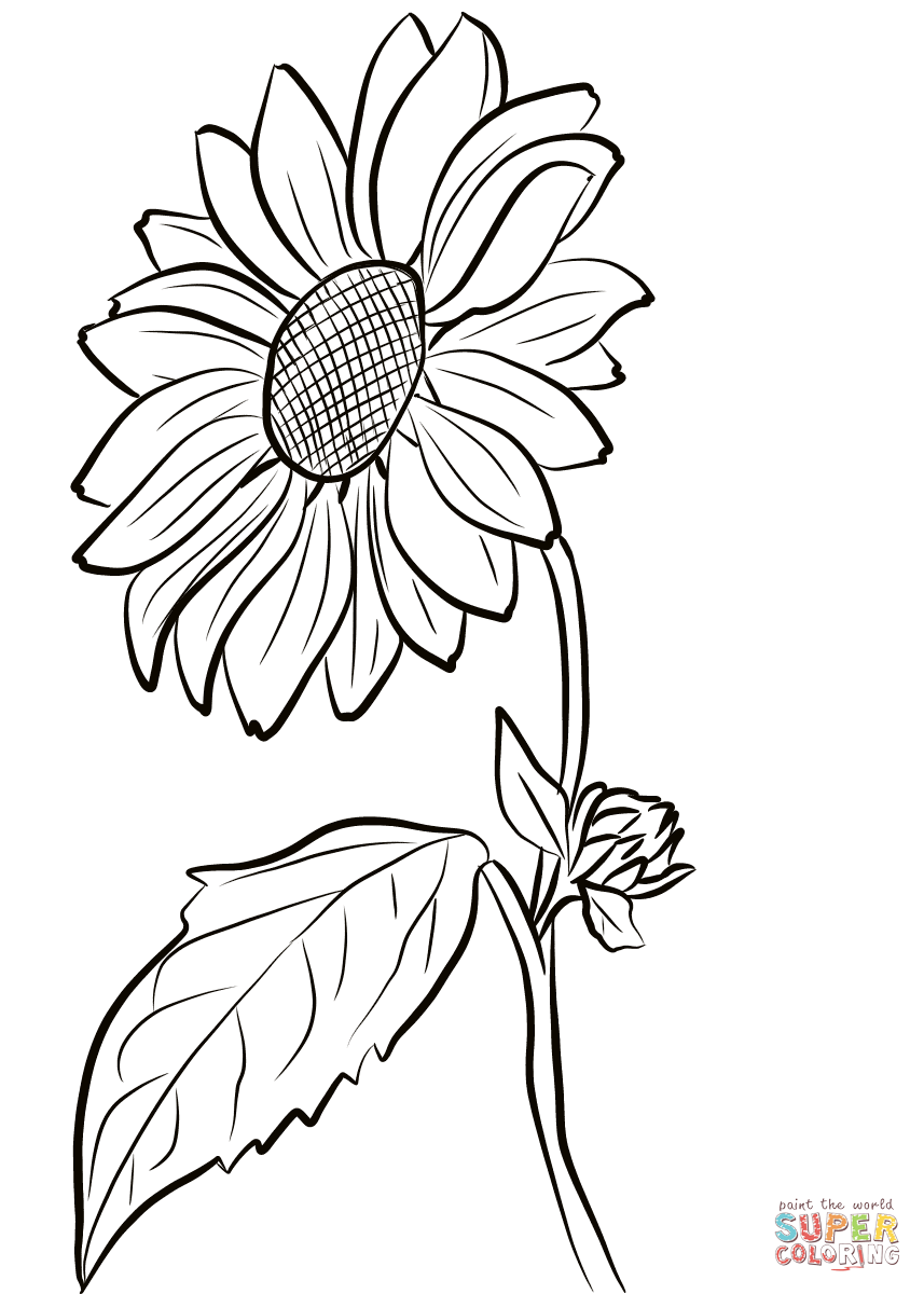 kansas day coloring pages