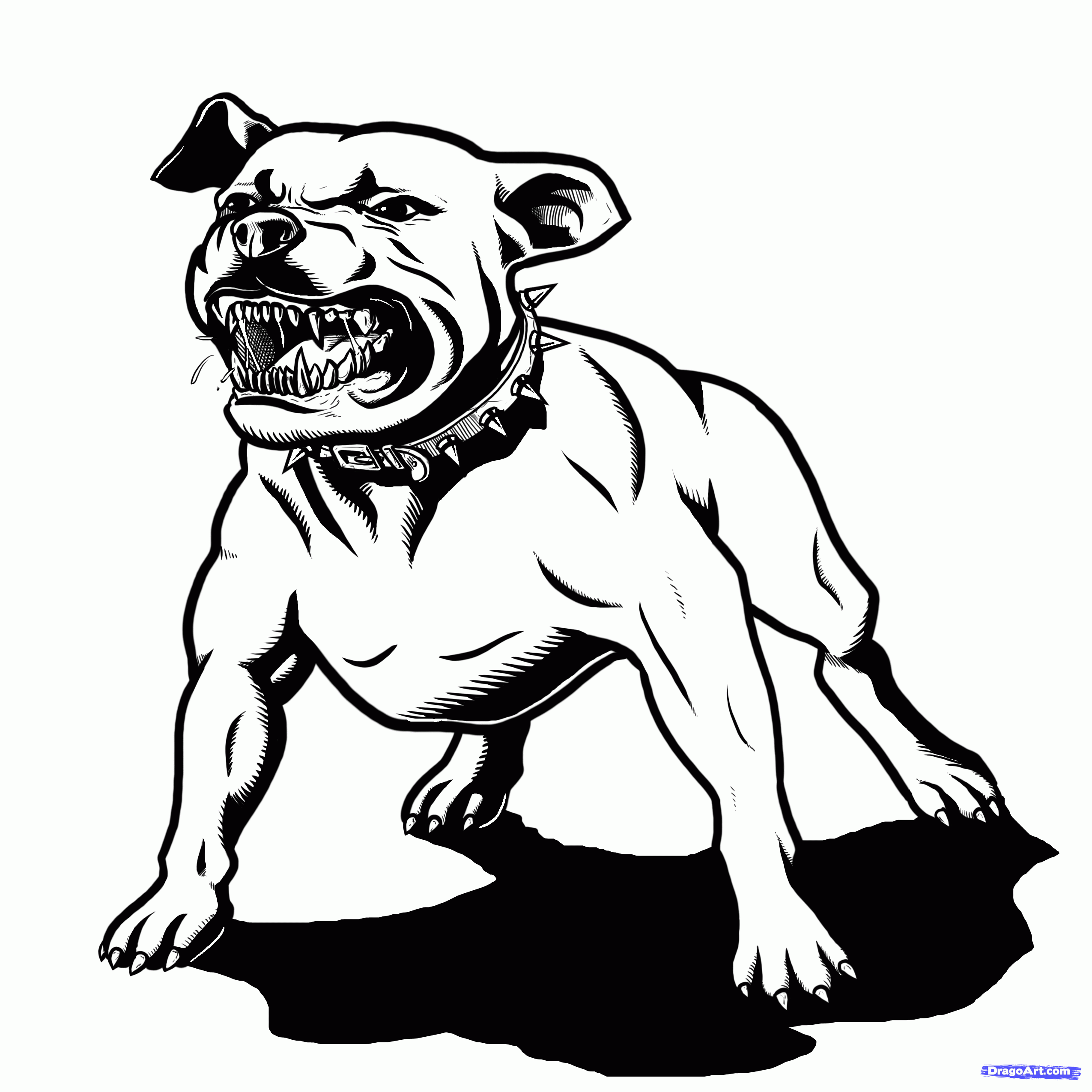 pitbull coloring pages