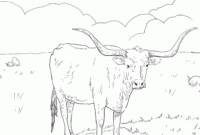 texas longhorn coloring page