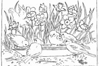 pond animals coloring pages