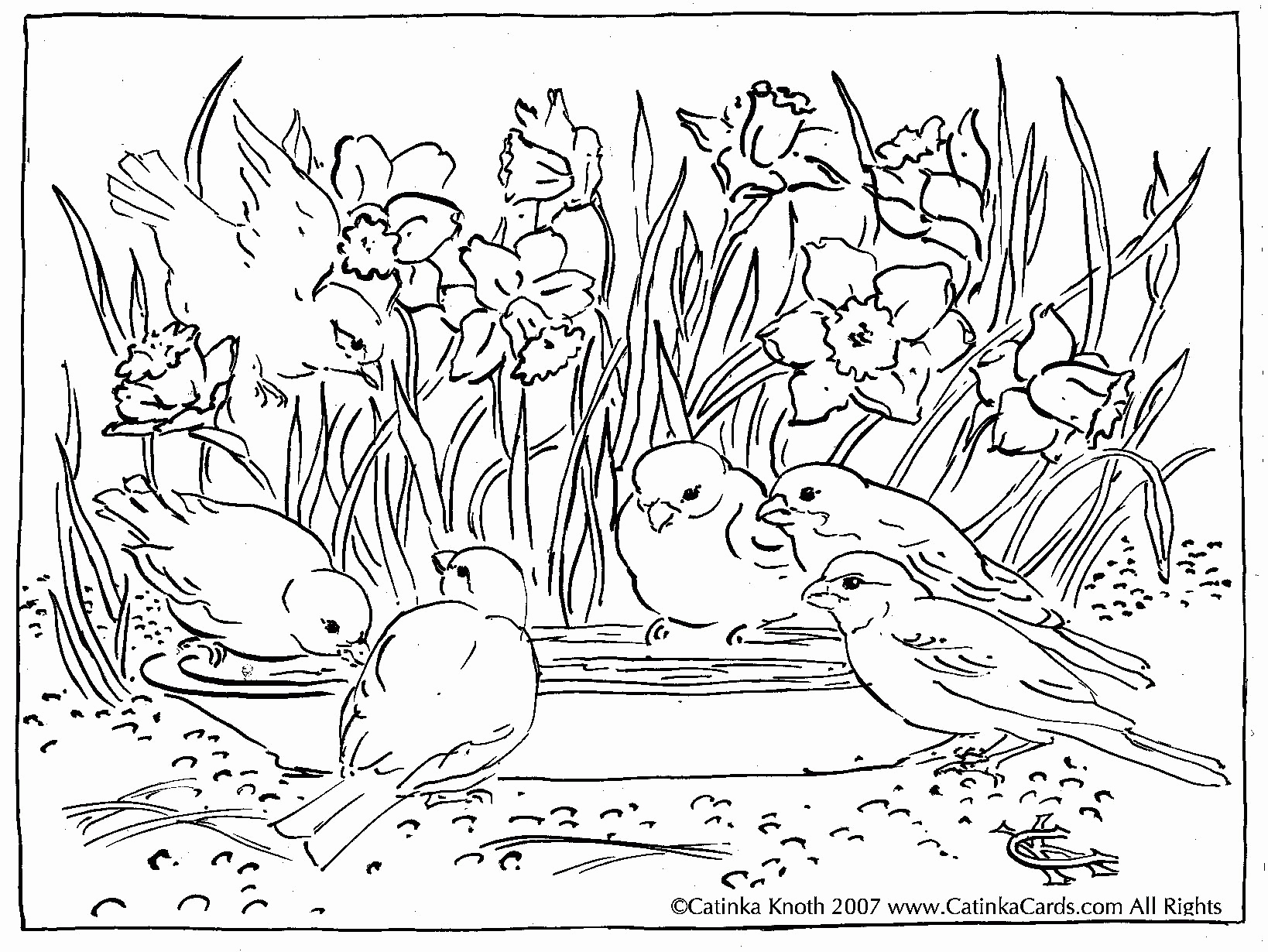 pond animals coloring pages