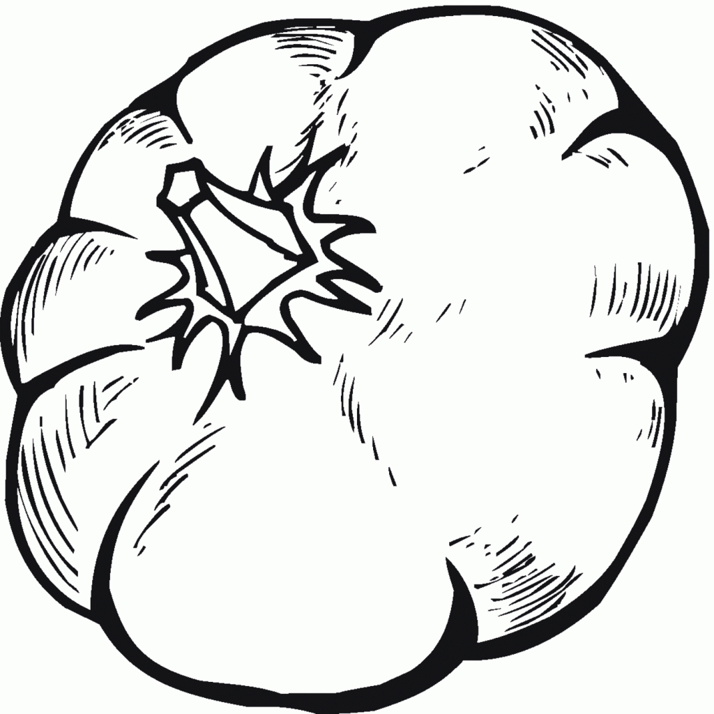 squash coloring page