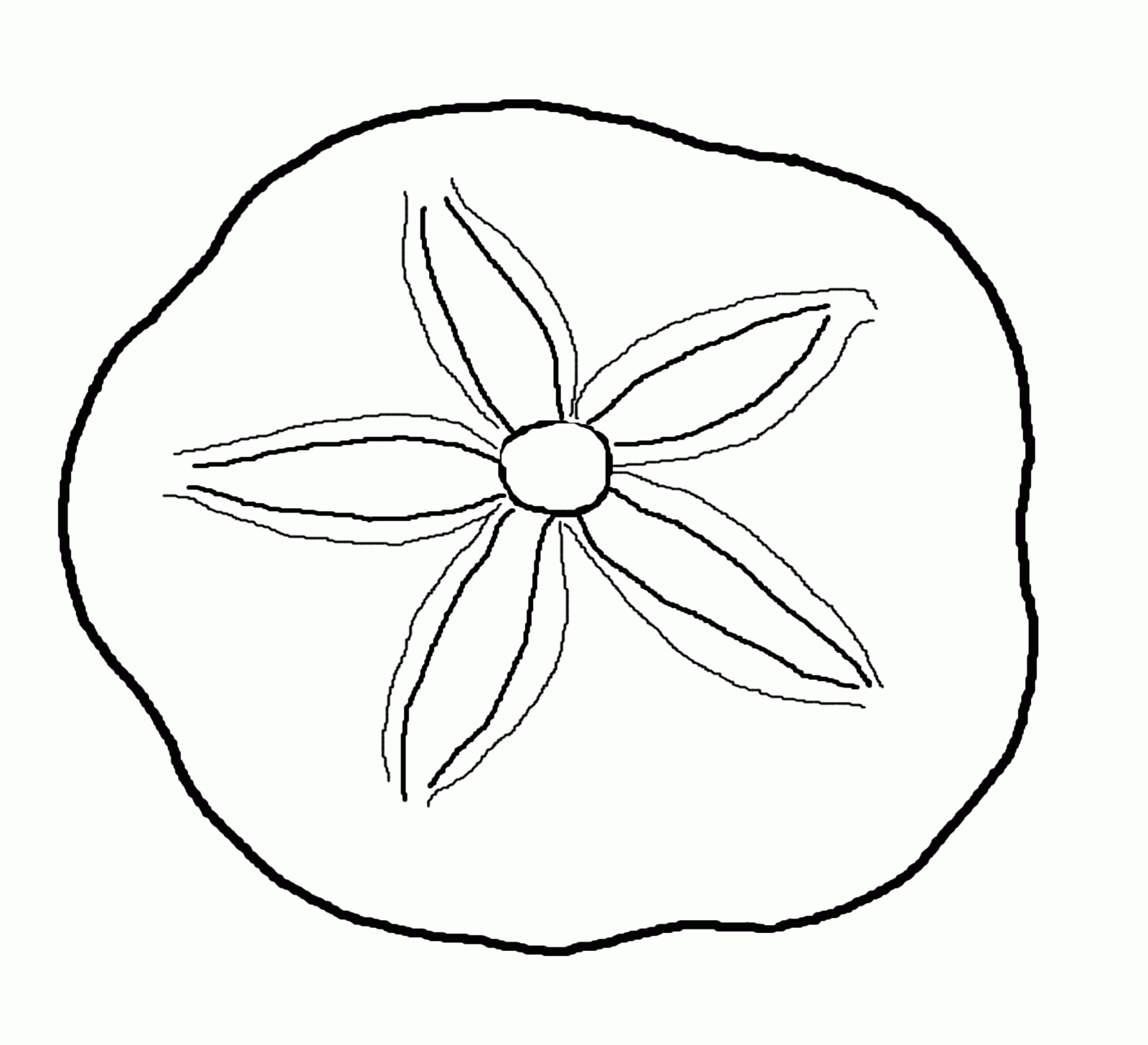 shells coloring page