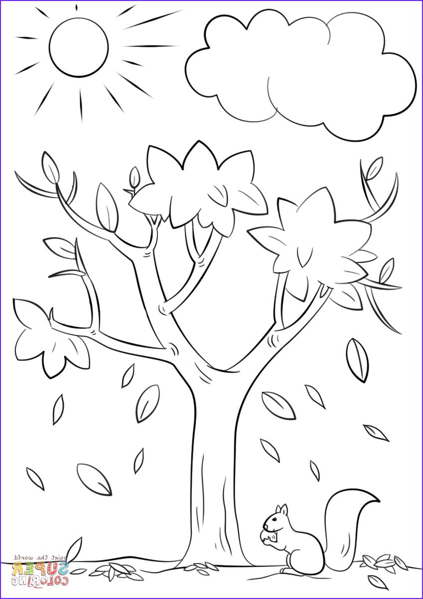 preschool fall tree coloring pages