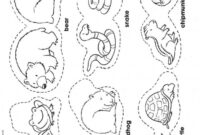 printable hibernating animals coloring page