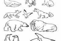 arctic animal coloring page