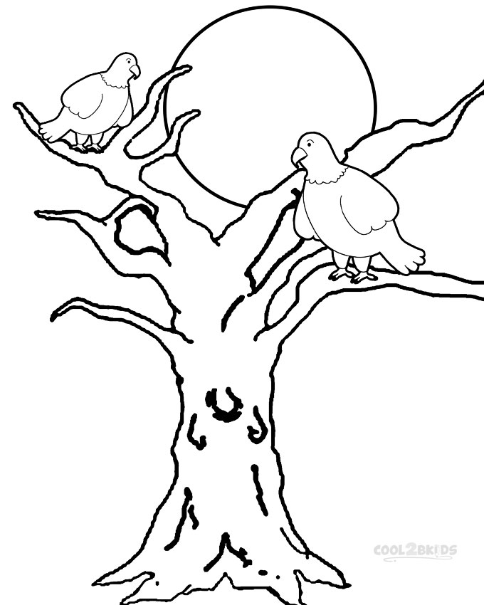 coloring page bald eagle