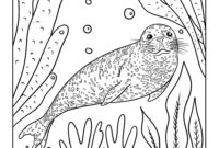 coloring pages of seals