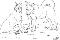 siberian husky coloring pages