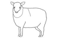 coloring page sheep