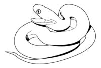 snake coloring page