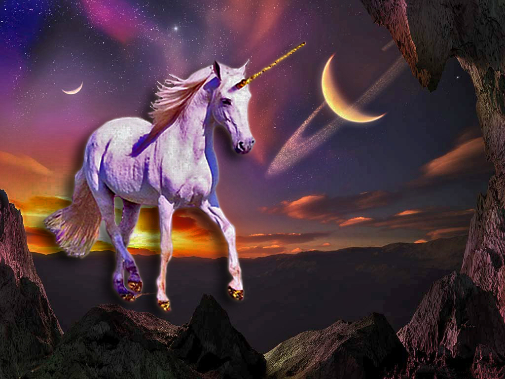 unicorn bilder