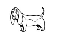 basset hound coloring pages