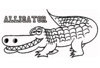 a is for alligator coloring page