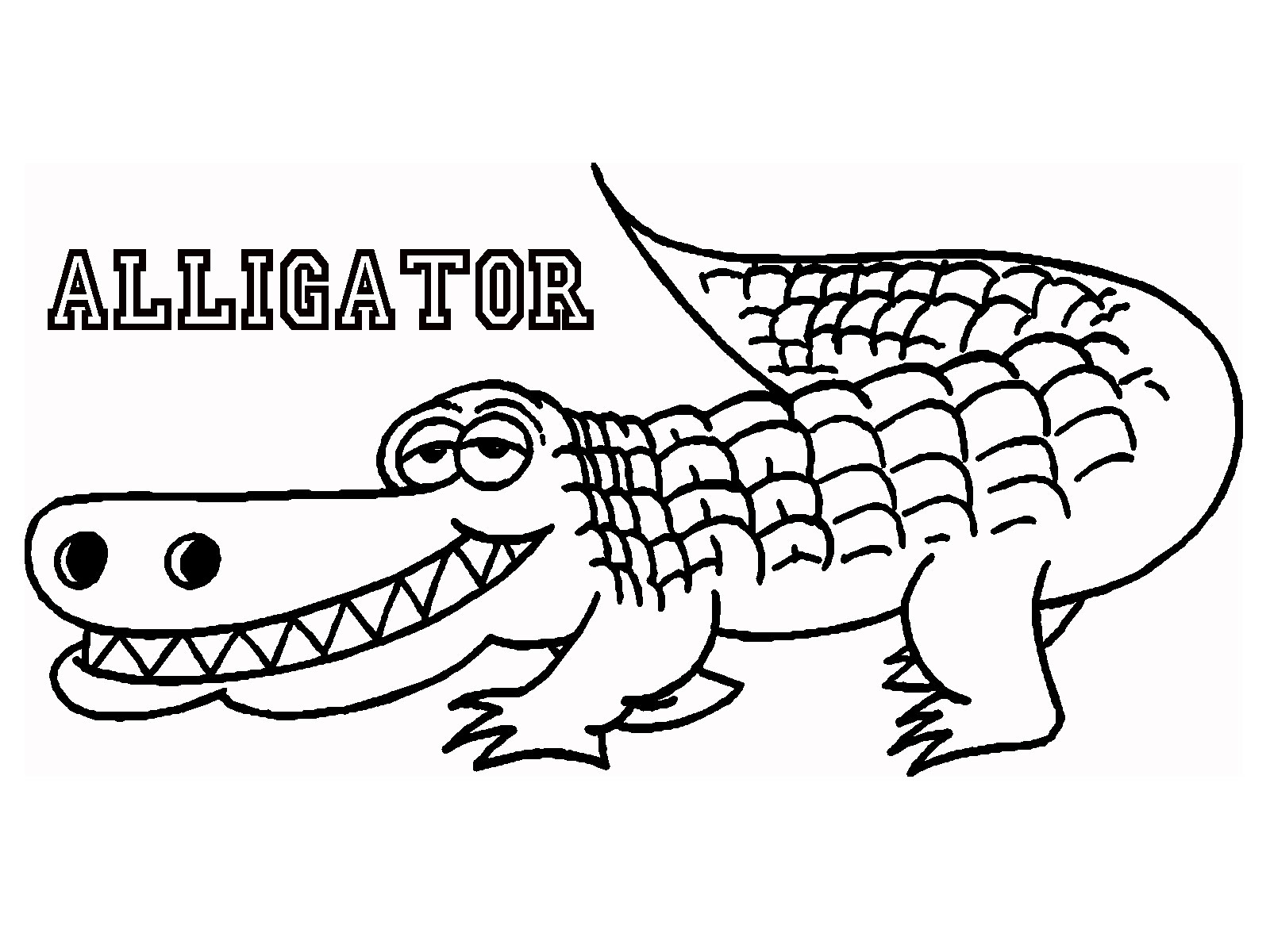 a is for alligator coloring page