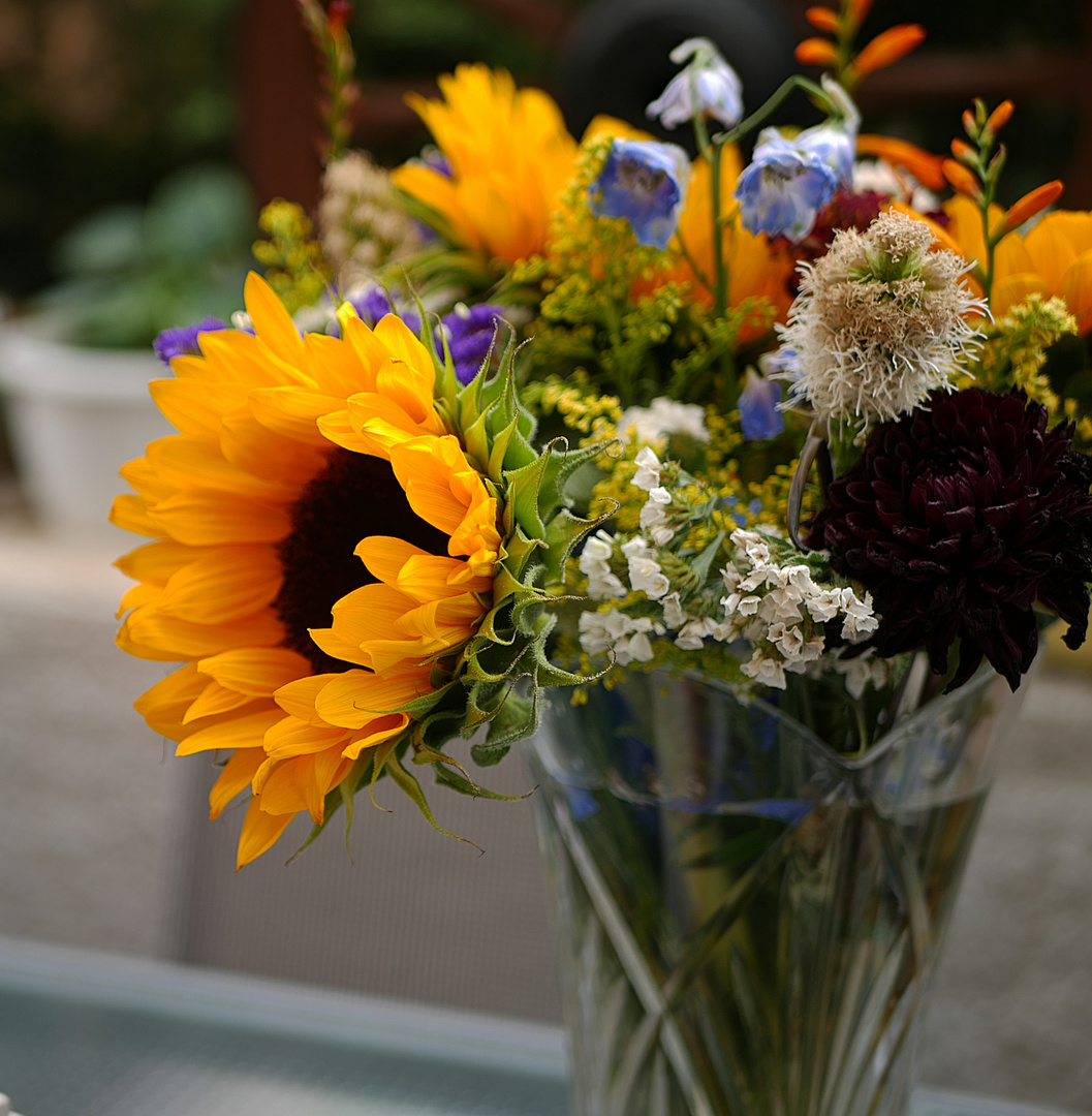 Blumen zum Geburtstag Foto & Bild | gratulation und feiertage