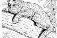 realistic kitten cat coloring pages