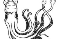 giant squid coloring pages