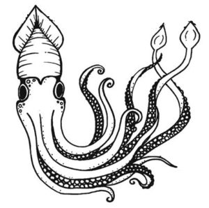 giant squid coloring pages