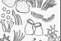 great barrier reef coloring page