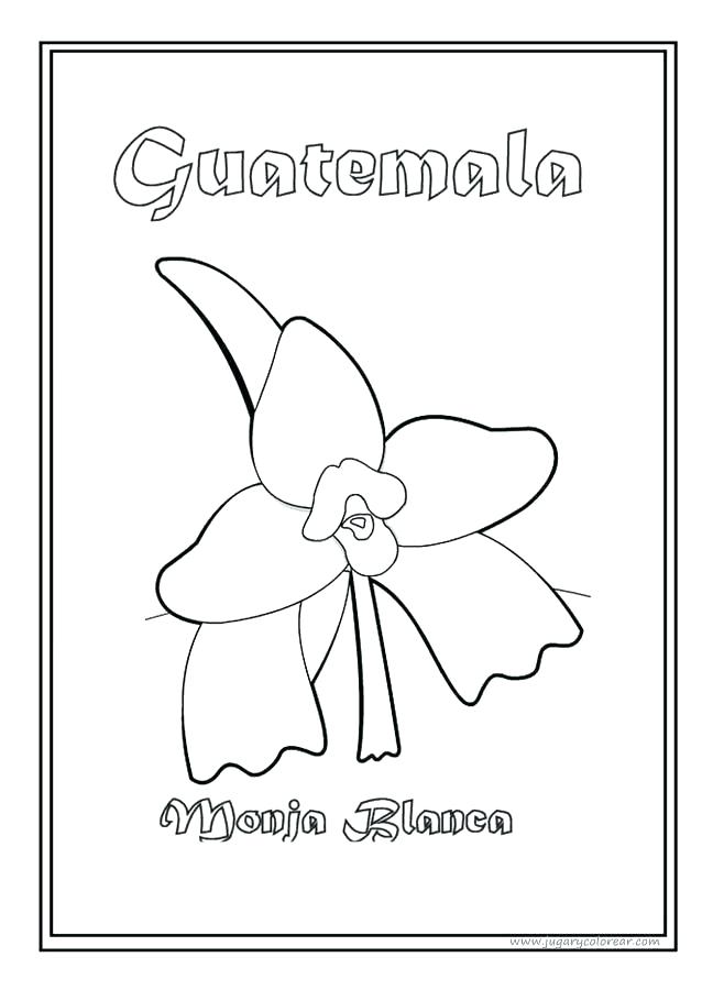 guatemala coloring pages