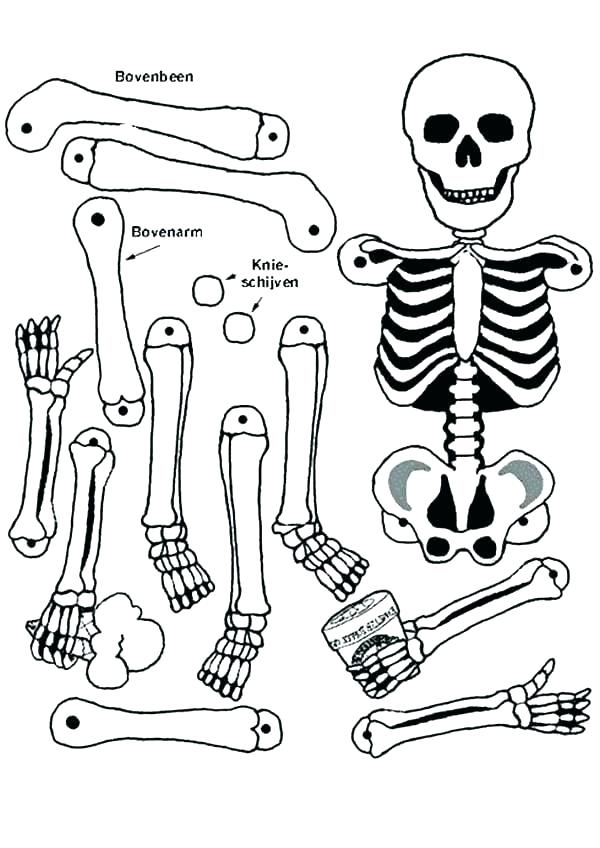 bone coloring pages