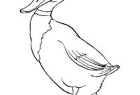 mallard duck coloring pages