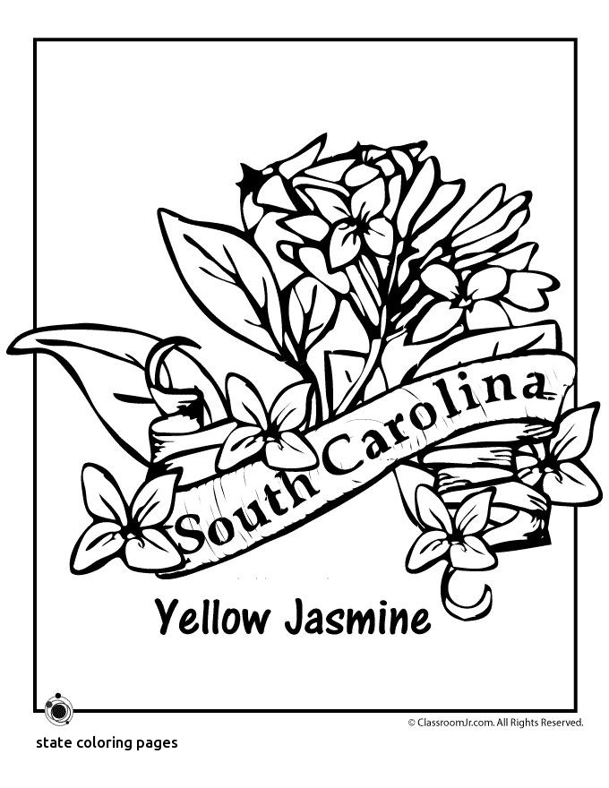 north carolina coloring page