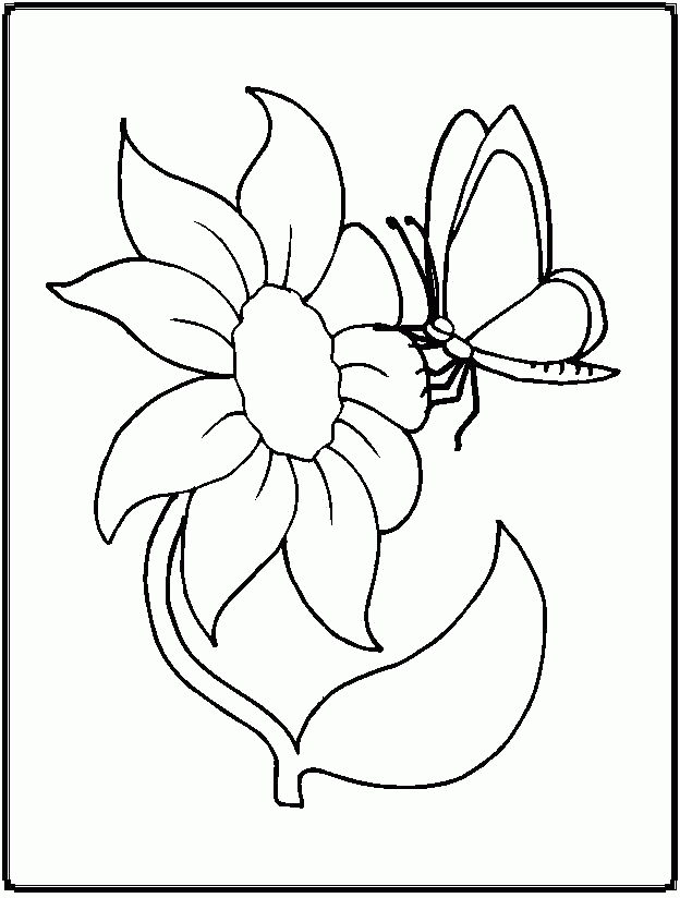 free coloring pages butterflies and flowers