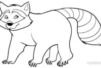 coloring page raccoon