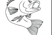 rainbow trout coloring page