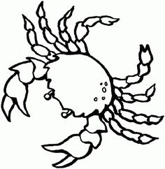 sand dollar coloring page