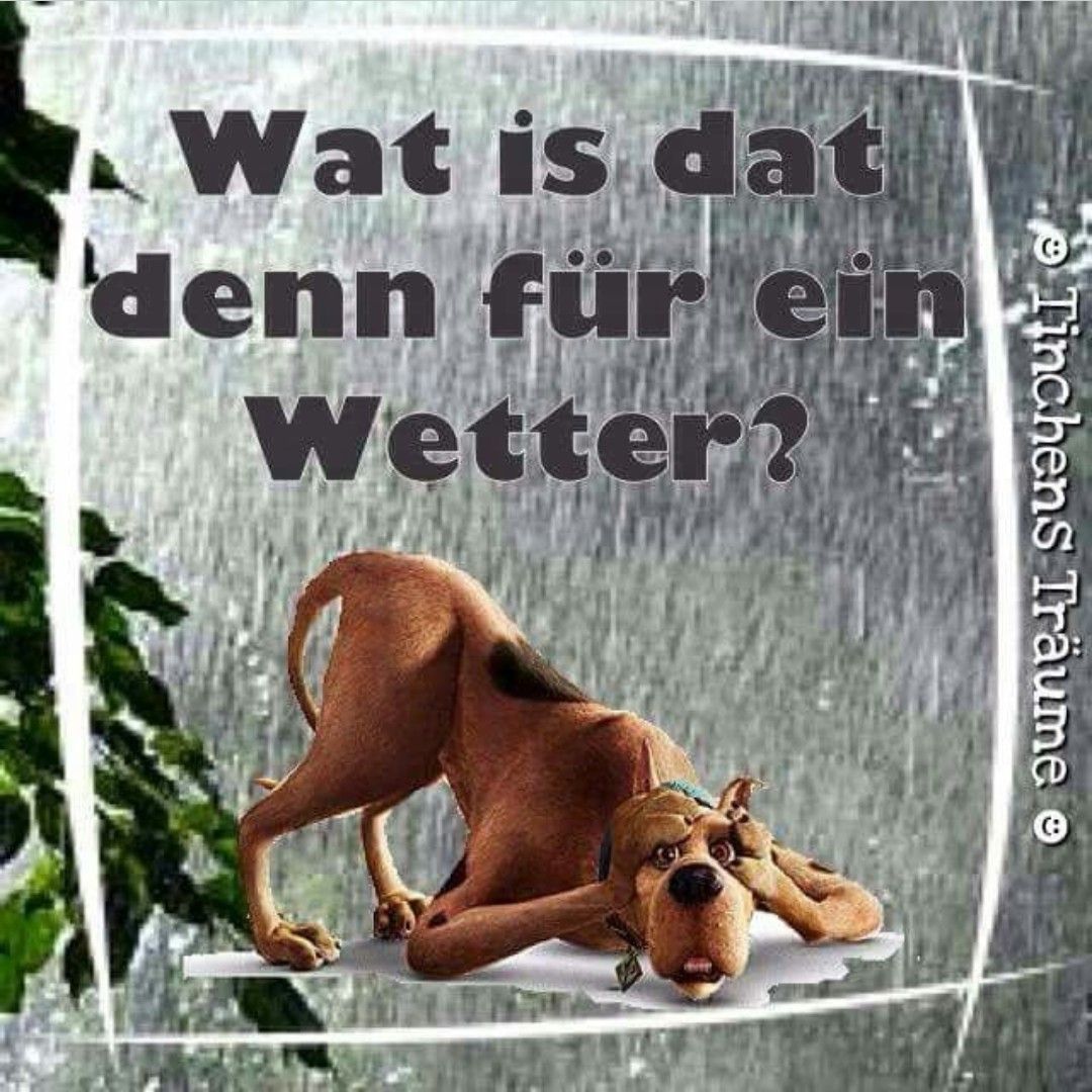 lustige wetter bilder kostenlos