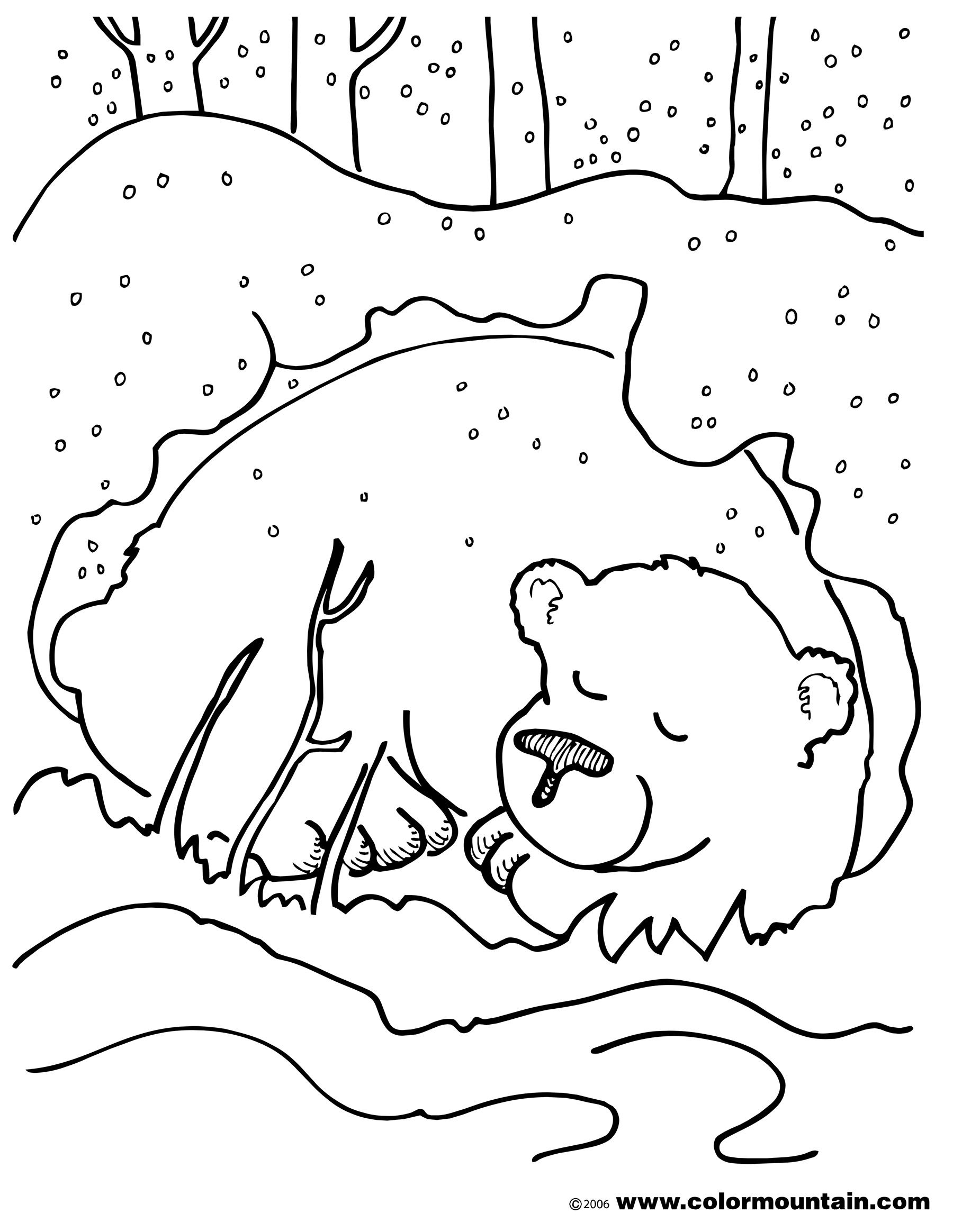 hibernating bear coloring page