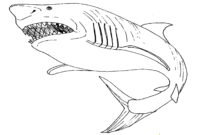 megalodon shark coloring page