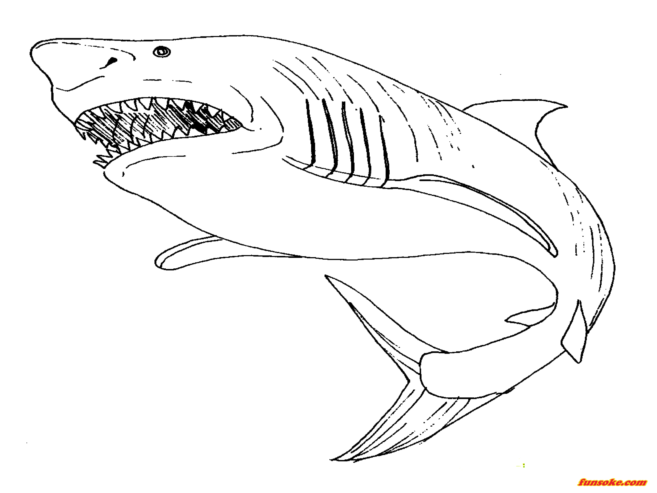 megalodon shark coloring page