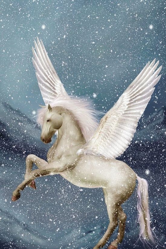 Pegasus | Pegasus art, Mythological creatures, Winged horse